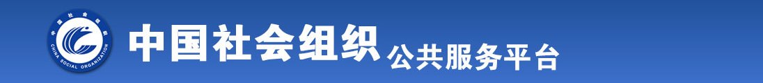 AA传媒网视频一级片在线全国社会组织信息查询